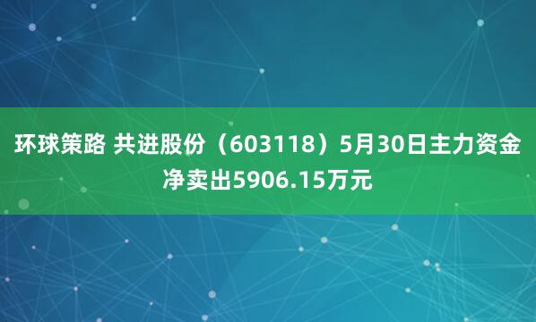 环球策路 共进股份（603118）5月30日主力资金净卖出5906.15万元