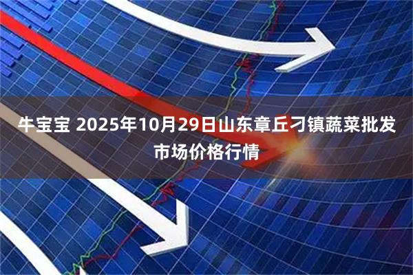 牛宝宝 2025年10月29日山东章丘刁镇蔬菜批发市场价格行情