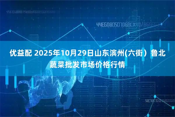 优益配 2025年10月29日山东滨州(六街）鲁北蔬菜批发市场价格行情