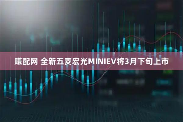 赚配网 全新五菱宏光MINIEV将3月下旬上市